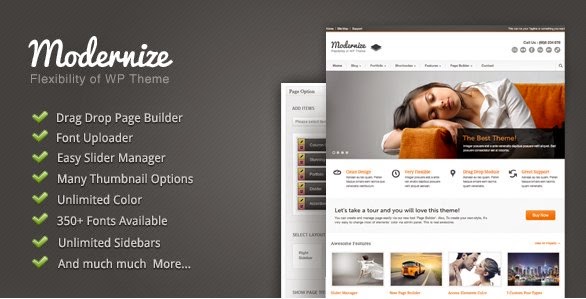 WordPress Modernize Theme WordPress Modernize Theme